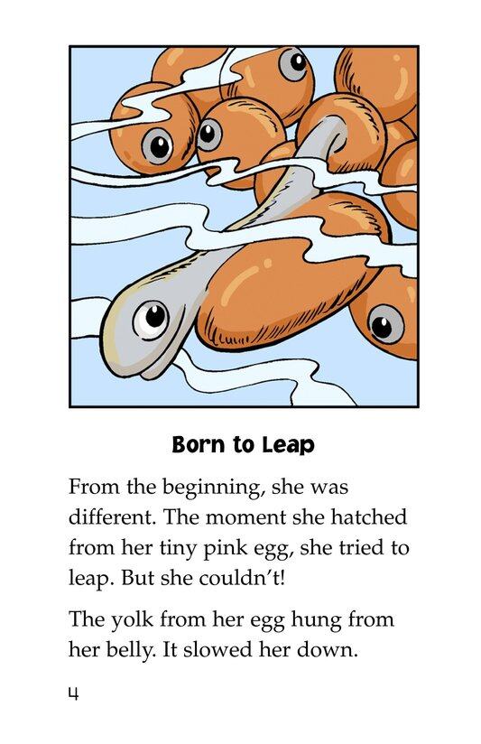 Leap! A Salmon's Story绘本故事第3页