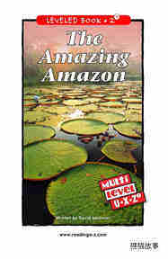 The Amazing Amazon