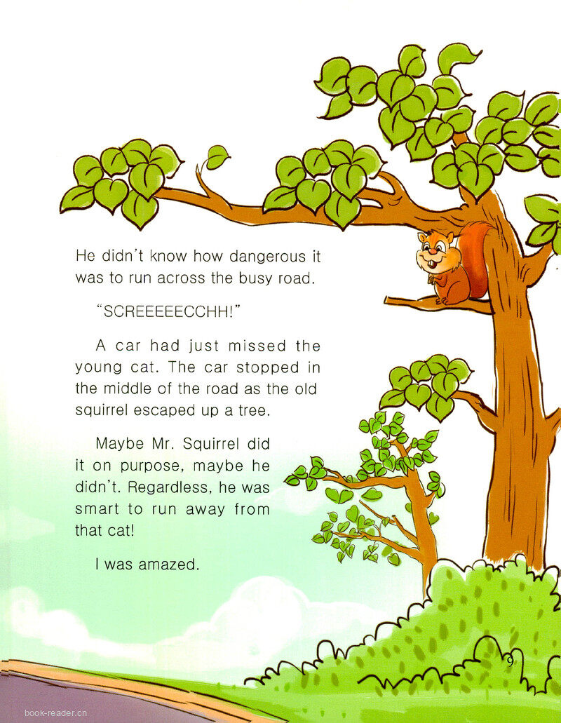 Mr.Squirrel绘本故事第3页
