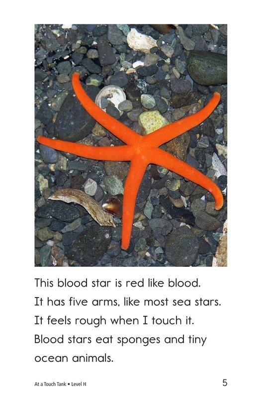 At a Touch Tank绘本故事第5页