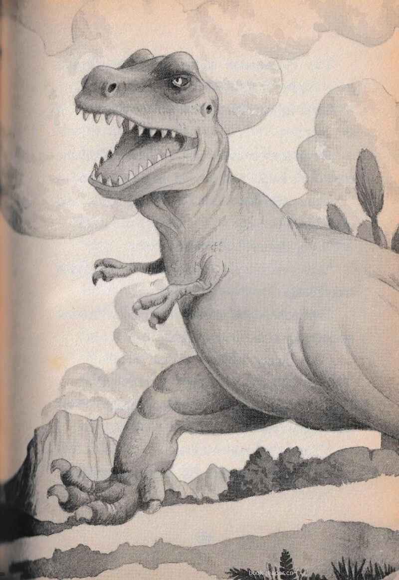 09 The Amazing Ride绘本故事第5页