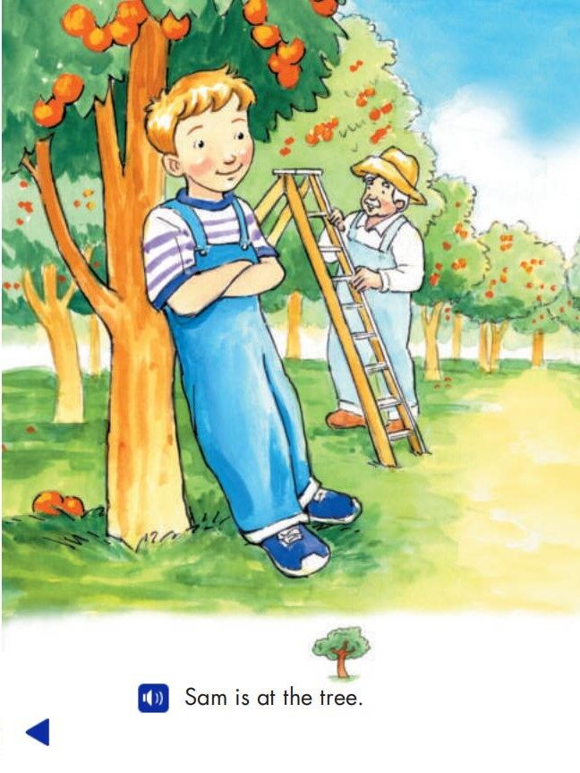 Tam and Sam in the Orange Grove绘本故事第3页