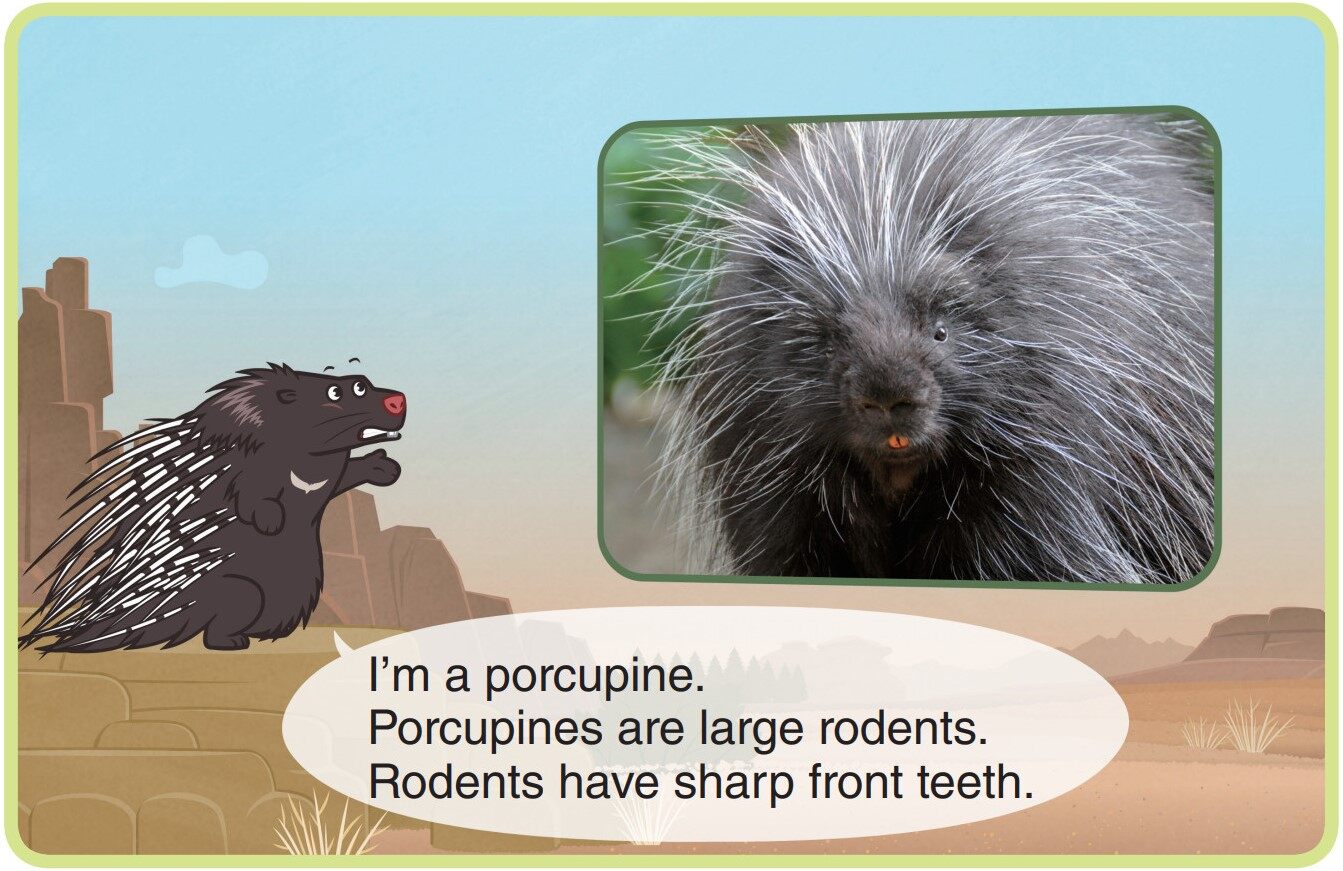 Porcupine绘本故事第3页
