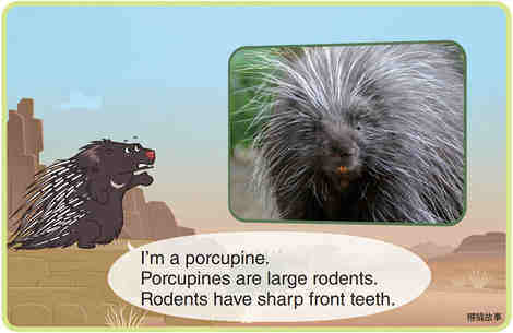 Porcupine绘本故事第3页