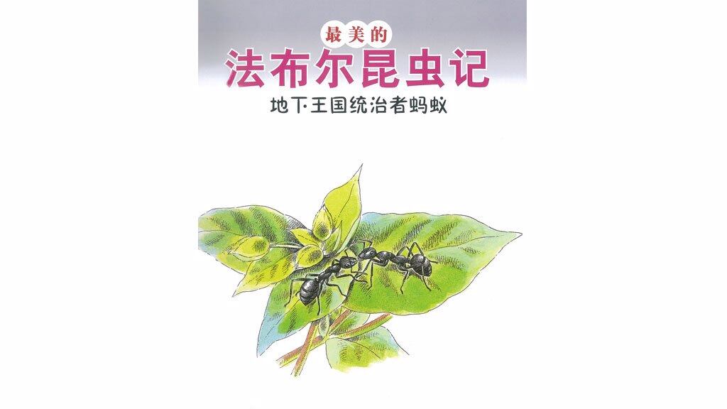 地下王国统治者蚂蚁绘本故事第2页