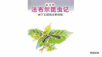 地下王国统治者蚂蚁绘本故事第2页
