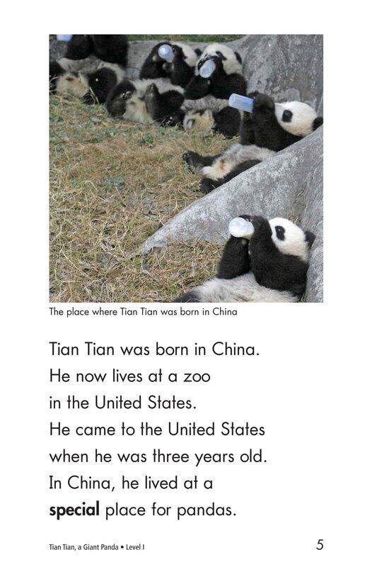 Tian Tian,a Giant Panda绘本故事第5页