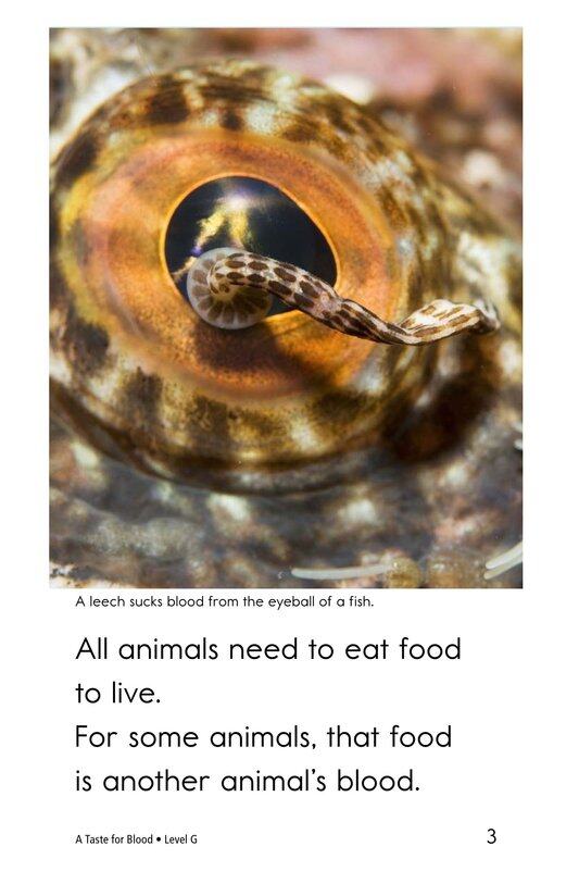 A Taste for Blood绘本故事第3页