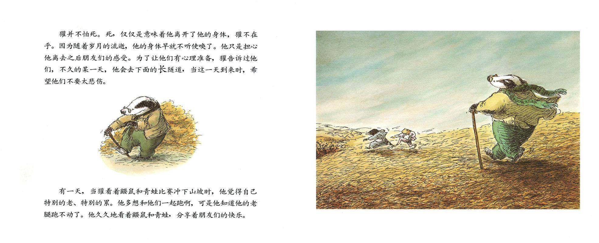 獾的礼物绘本故事第3页