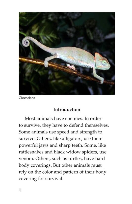 Camouflage绘本故事第3页