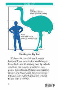 Ostriches Giant Birds绘本故事第3页