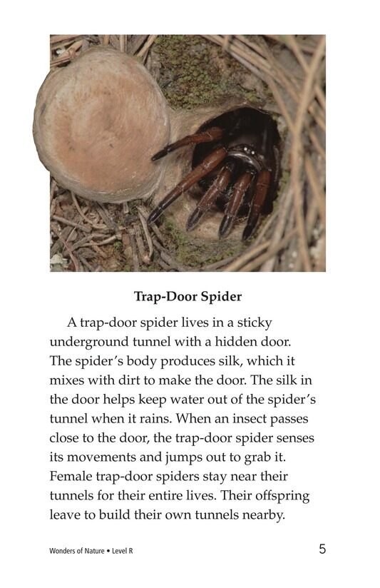 Wonders of Nature绘本故事第4页