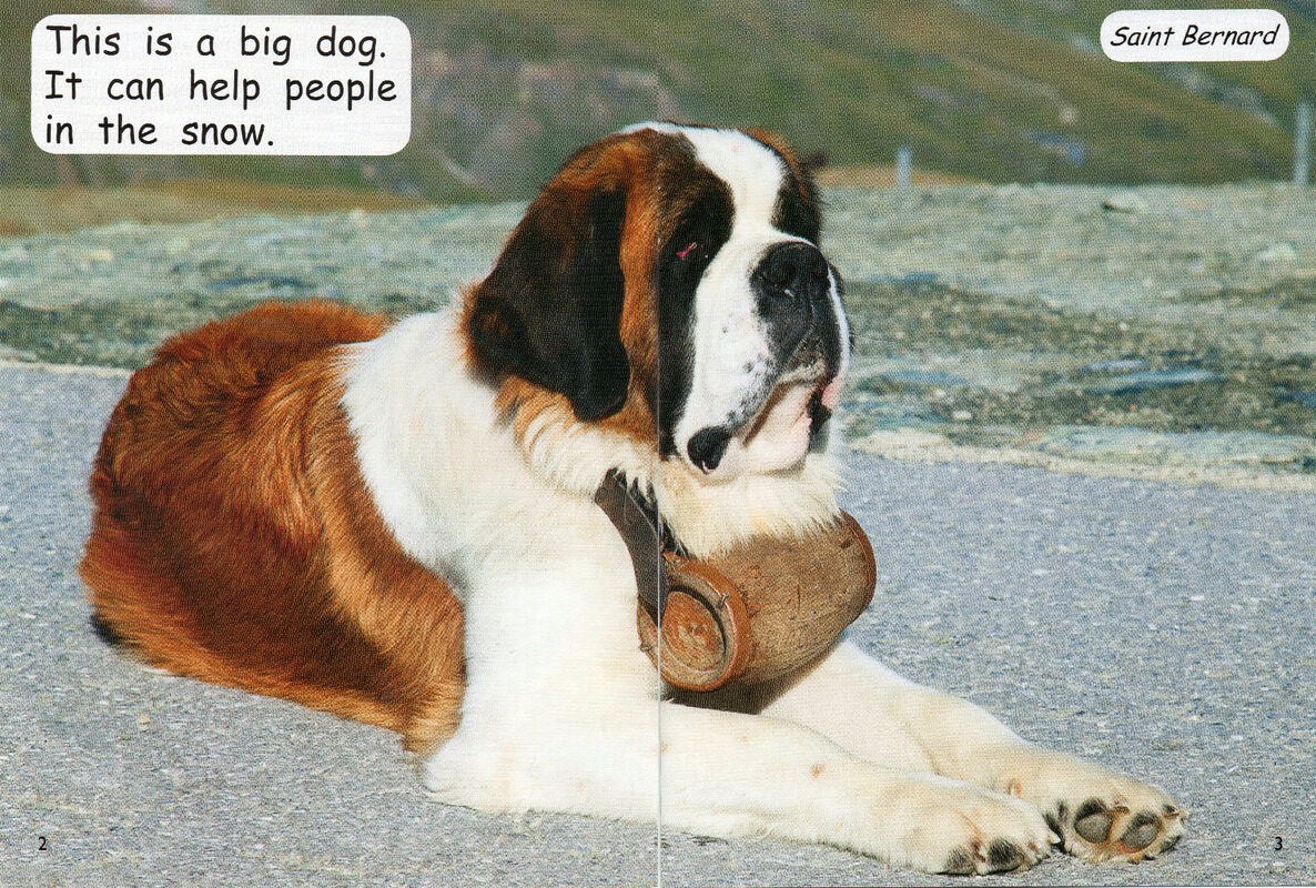 different dogs绘本故事第3页