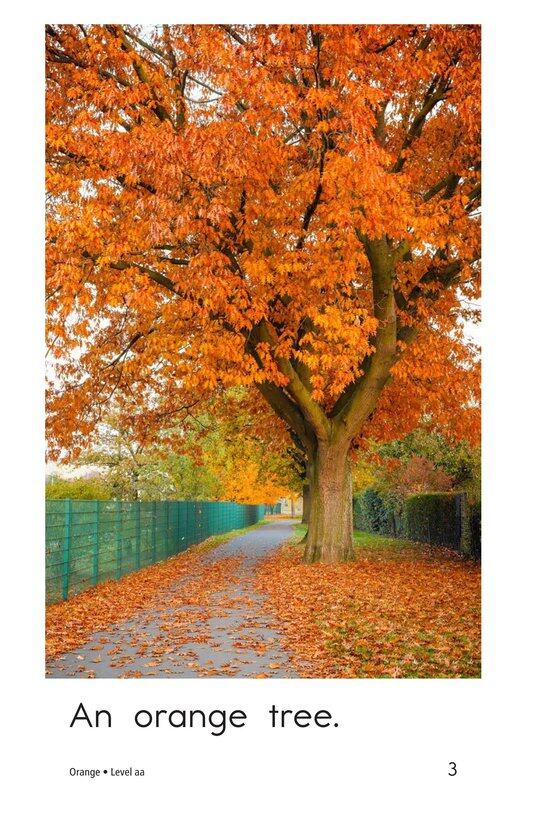 Orange绘本故事第3页