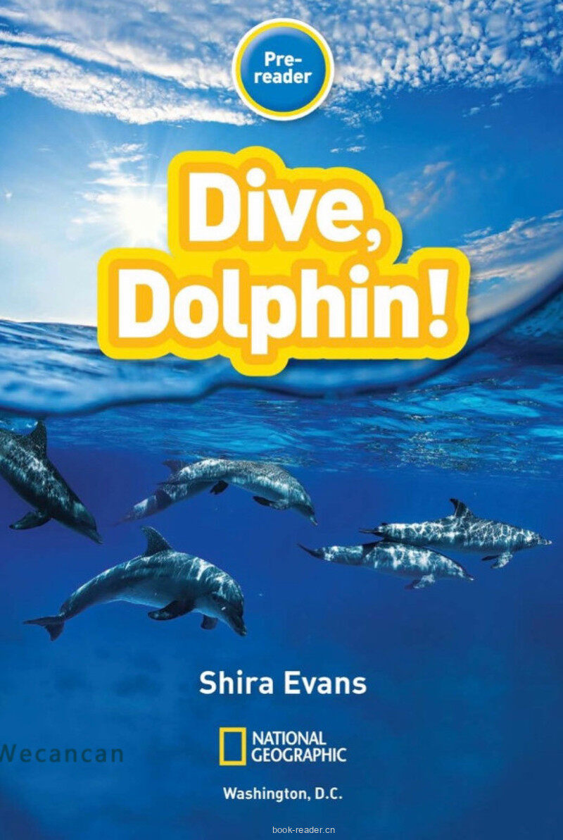 Dive Dolphin绘本故事第2页
