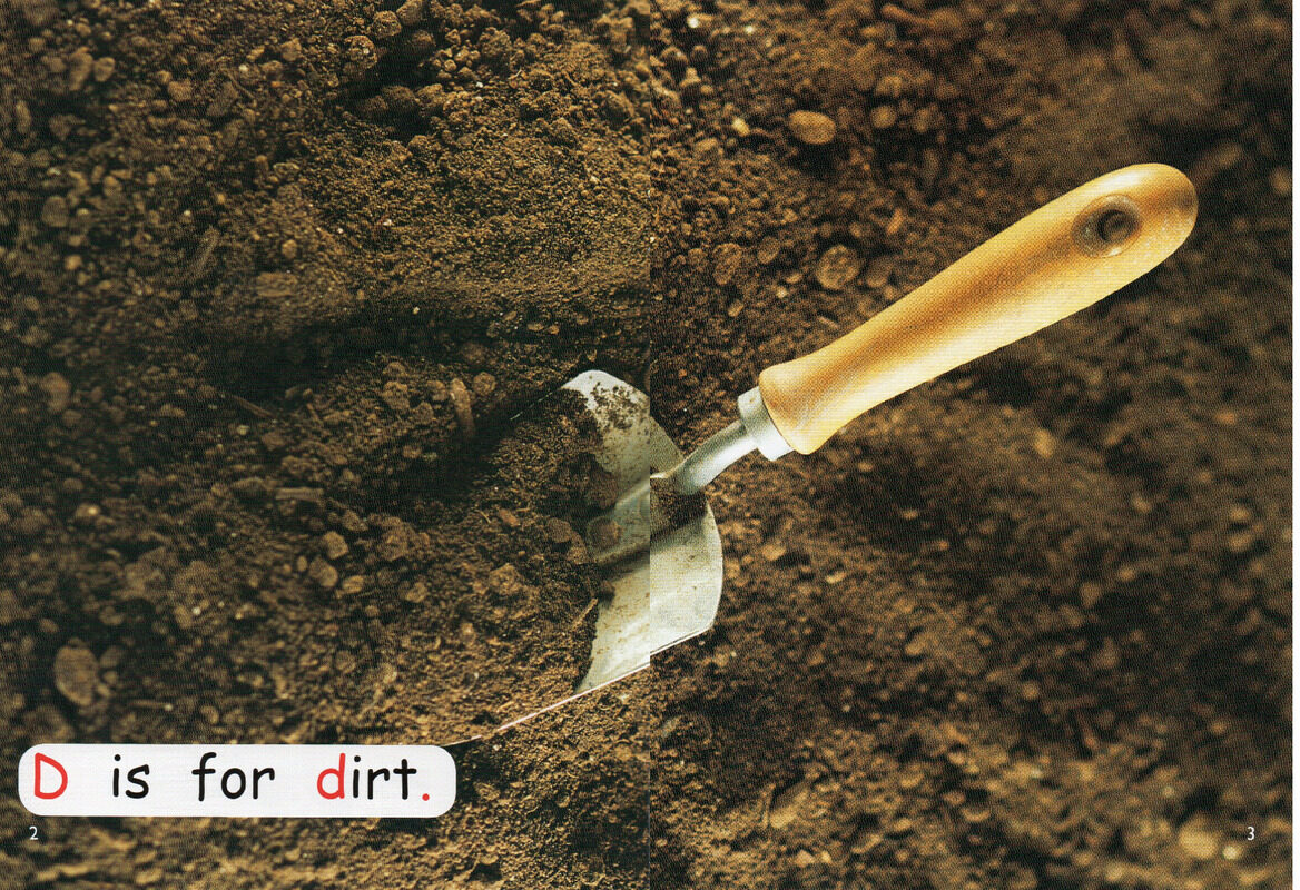 plant a plant绘本故事第3页