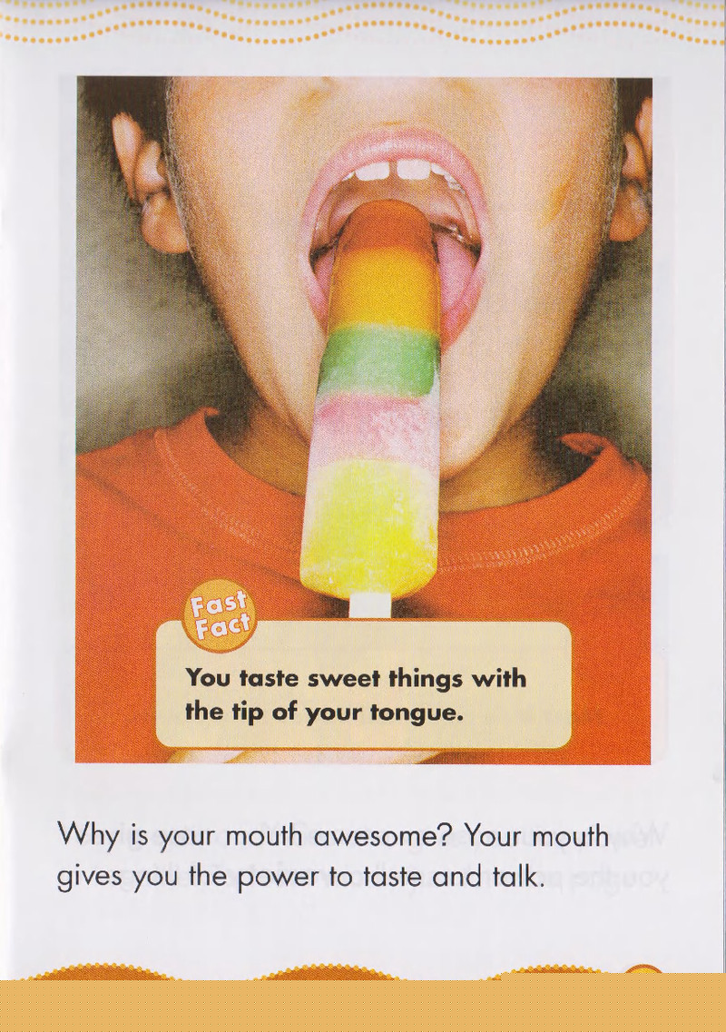 Your Mouth and Nose绘本故事第4页