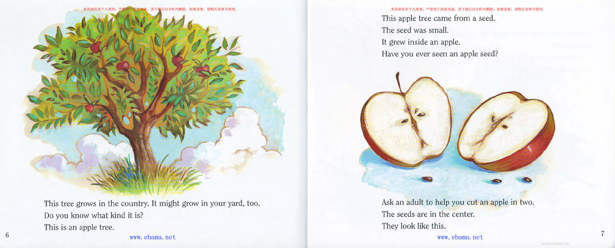 A Tree Is a Plant绘本故事第4页