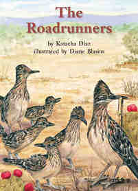 The Roadrunners