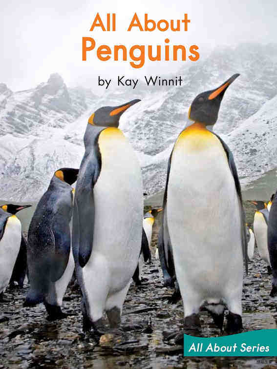 All About Penguins