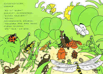 昆虫智趣园5-昆虫捉迷藏绘本故事第2页