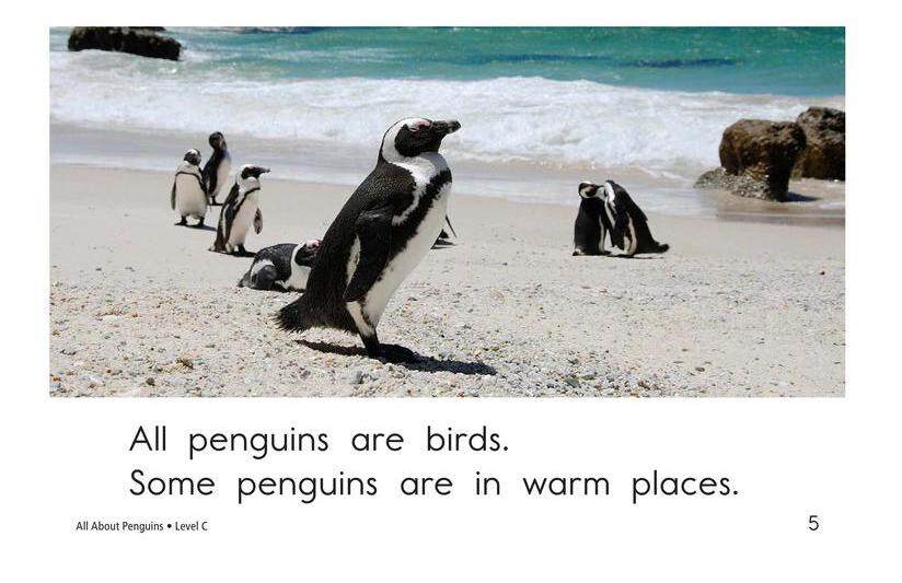 All About Penguins绘本故事第5页