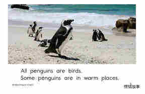 All About Penguins绘本故事第5页