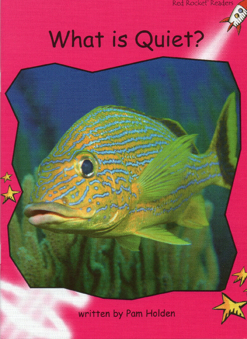 what is quiet？绘本故事第2页