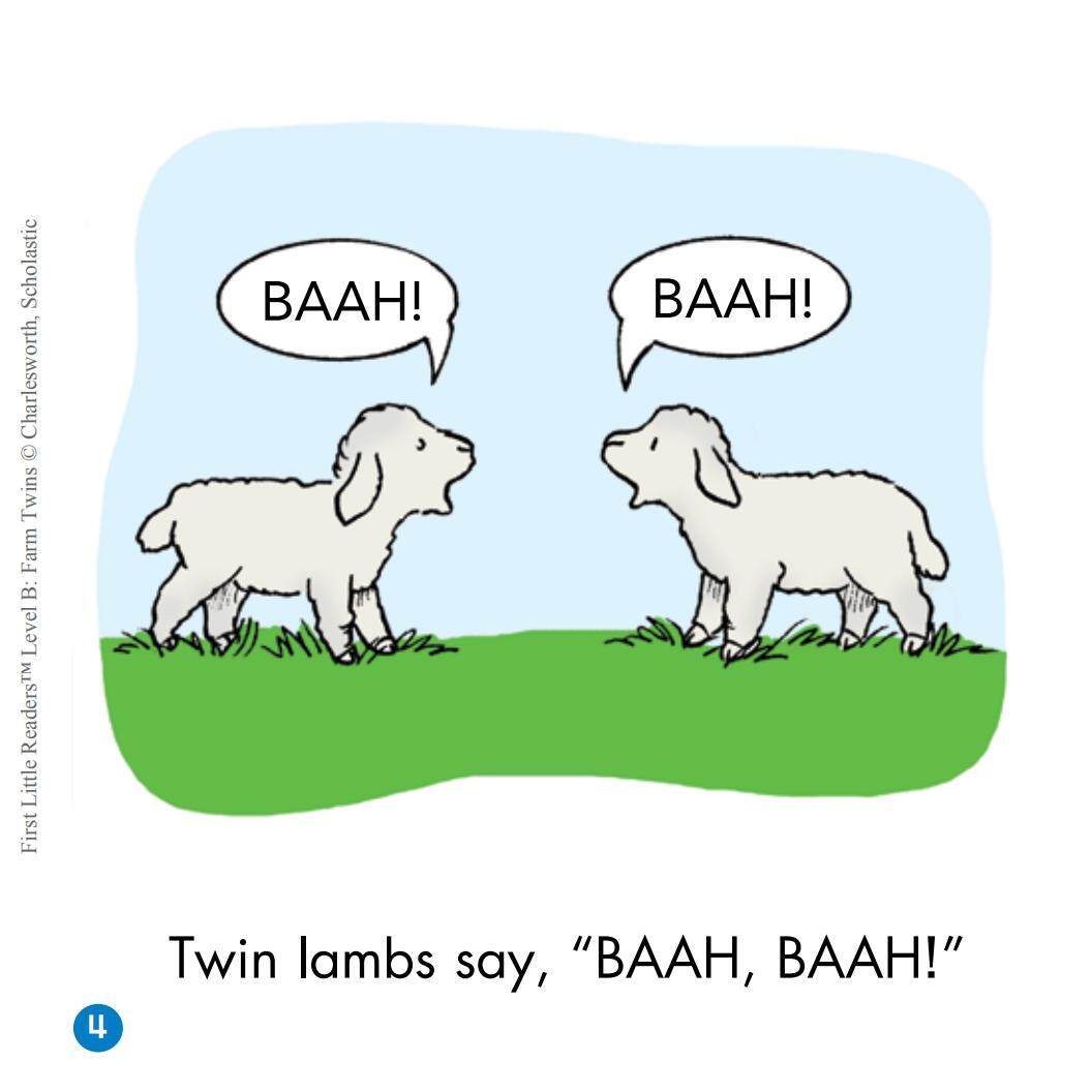 Farm Twins绘本故事第5页
