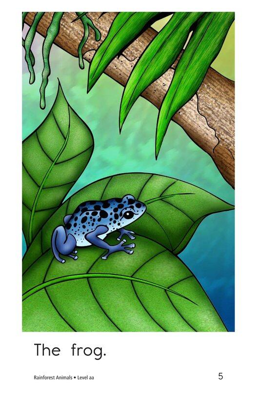 Rainforest Animals绘本故事第5页