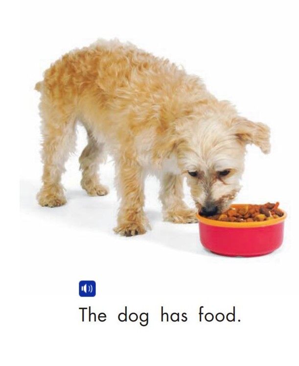 The dog绘本故事第3页