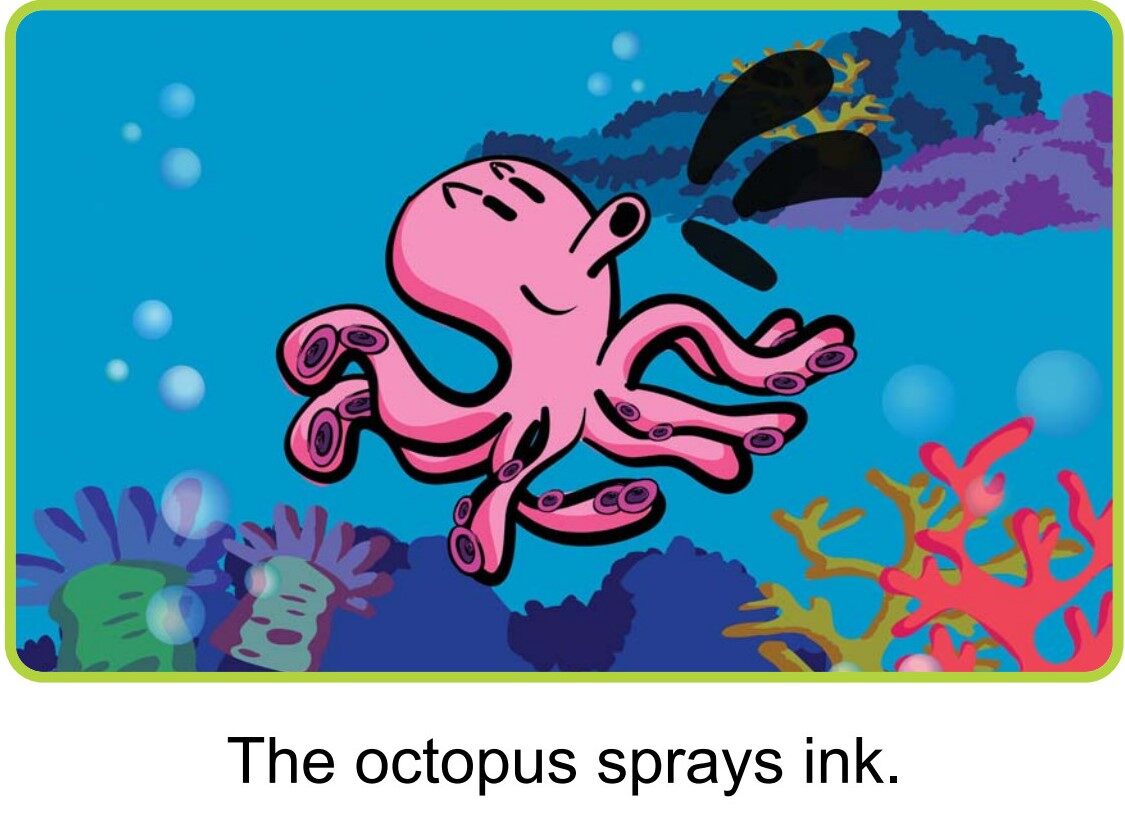 What Is in the Sea绘本故事第4页