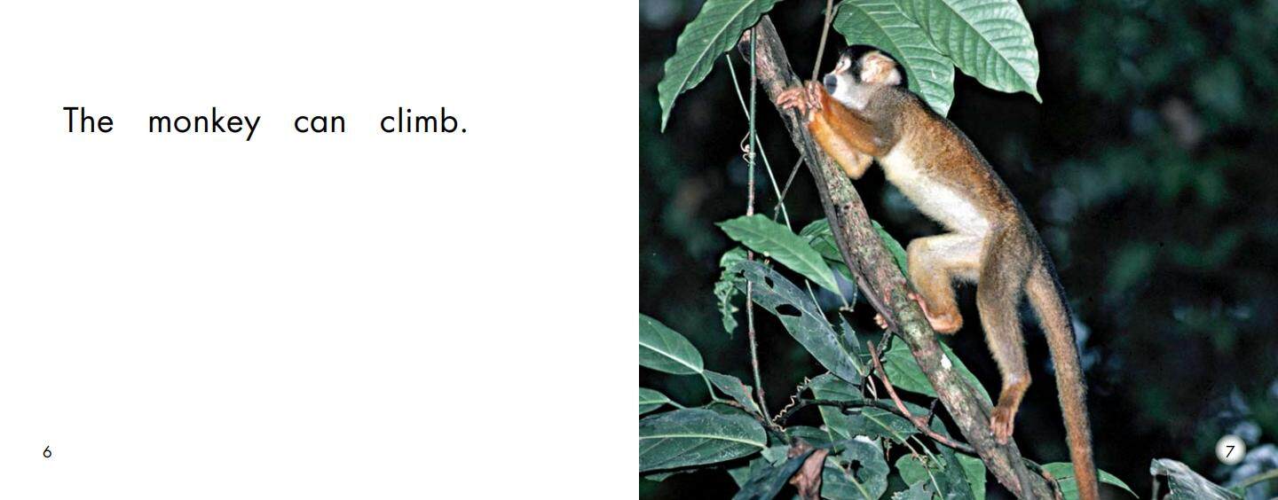 Monkey绘本故事第5页