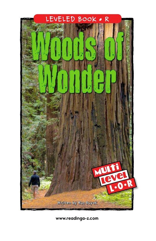 Woods of Wonder绘本故事第2页