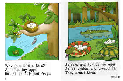Why Is A Bird A Bird绘本故事第3页