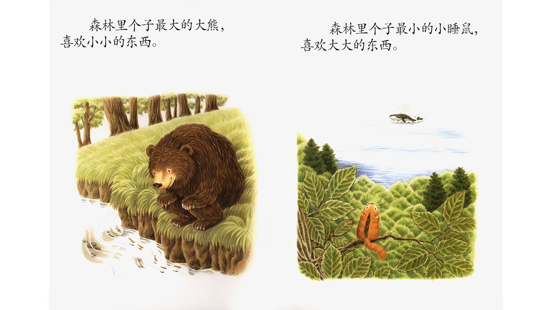 森林里最好的朋友绘本故事第3页