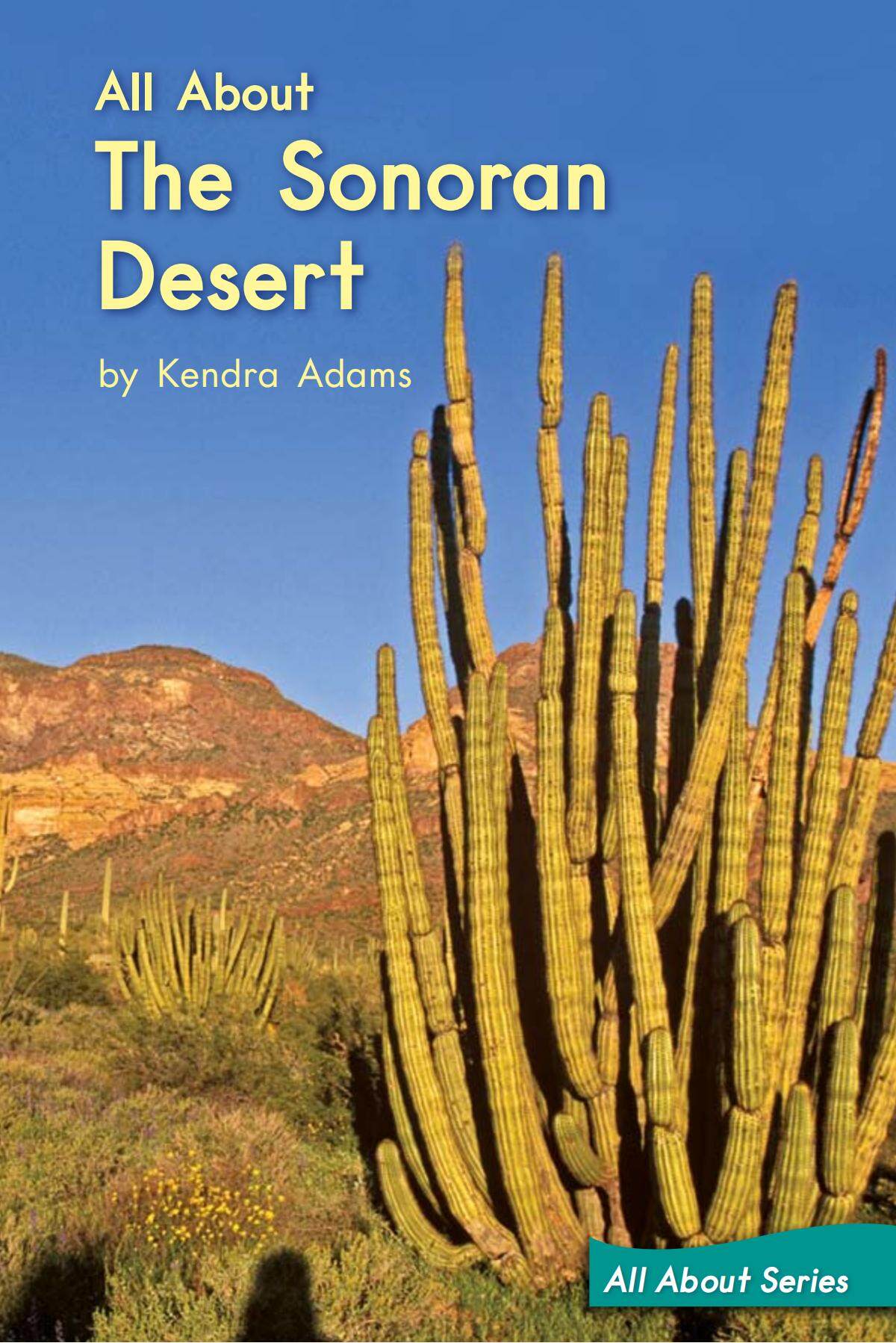 All About The Sonoran Desert绘本故事第2页