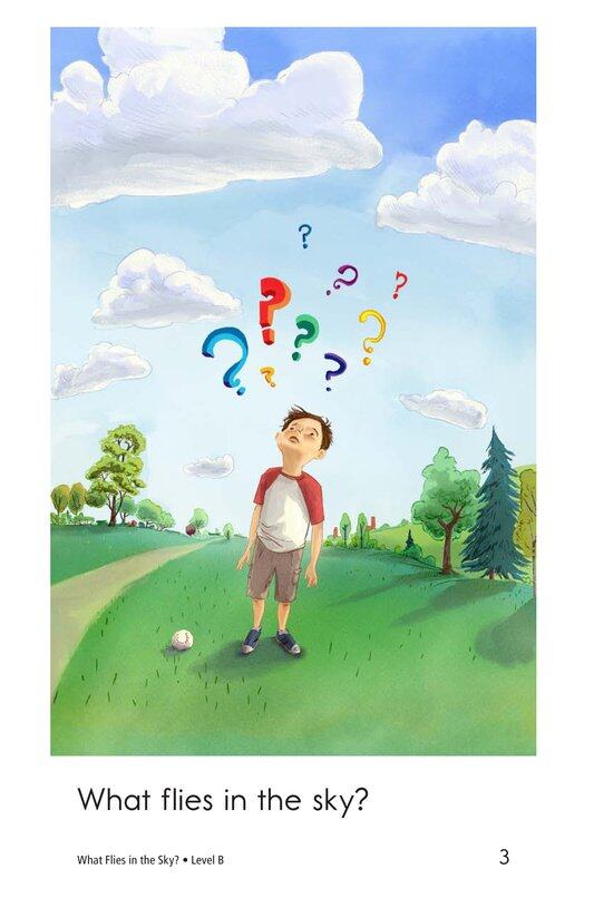 What Flies in the Sky绘本故事第3页