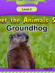 Groundhog