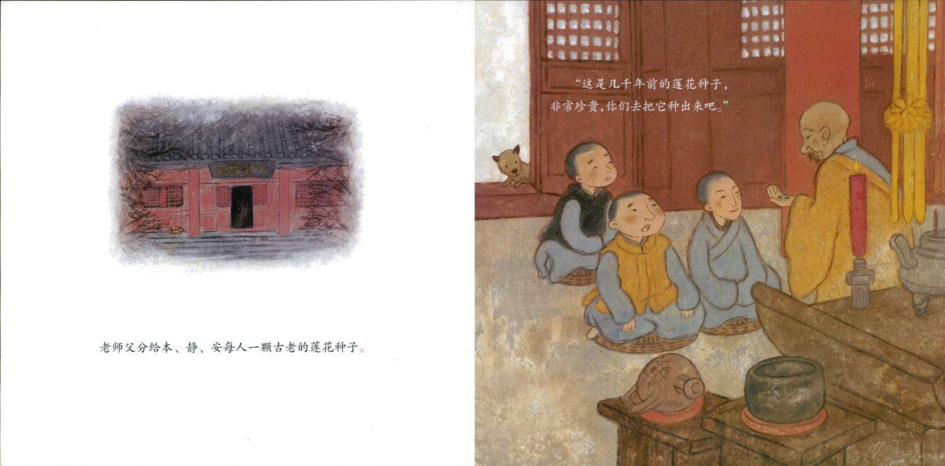 安的种子绘本故事第2页