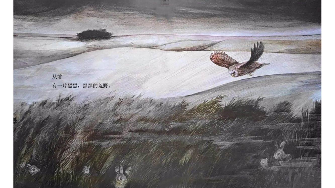 一个黑黑,黑黑的故事绘本故事第2页