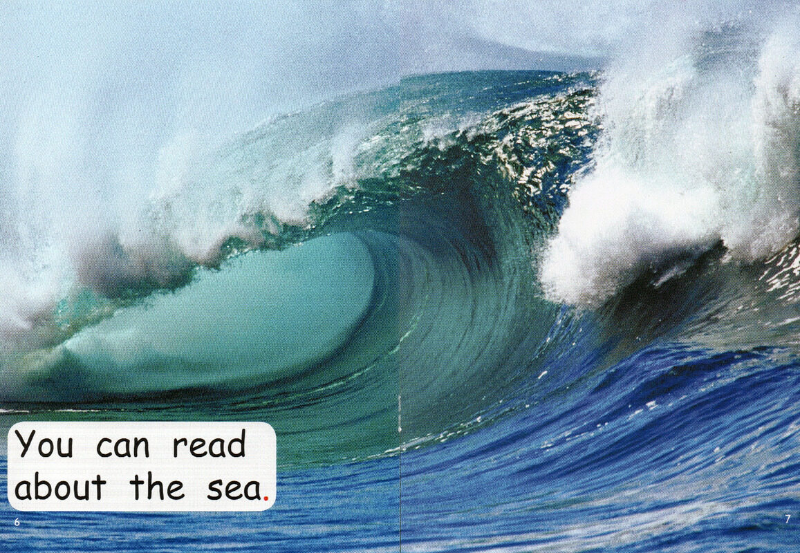 come to thelibrary绘本故事第5页