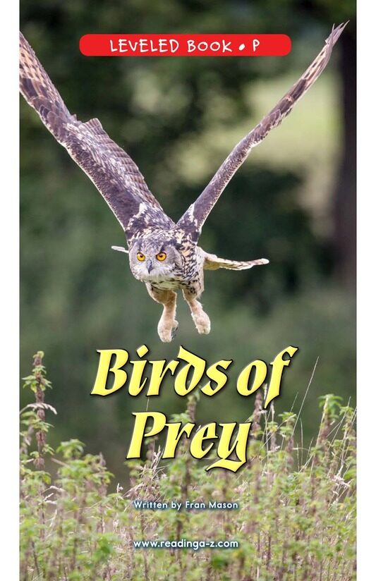 Birds of Prey绘本故事第2页