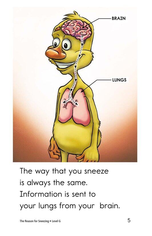 The Reason for Sneezing绘本故事第5页