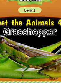 Grasshopper