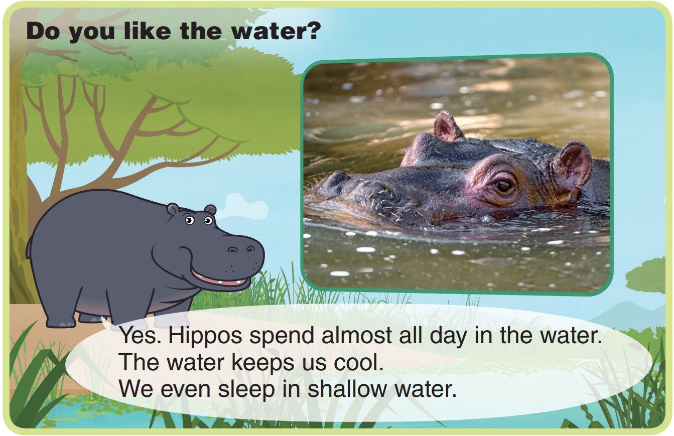 Hippopotamus绘本故事第5页