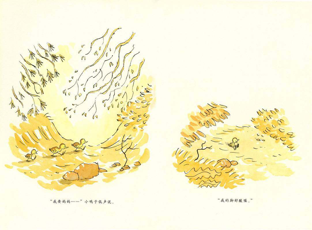 小步走路绘本故事第3页