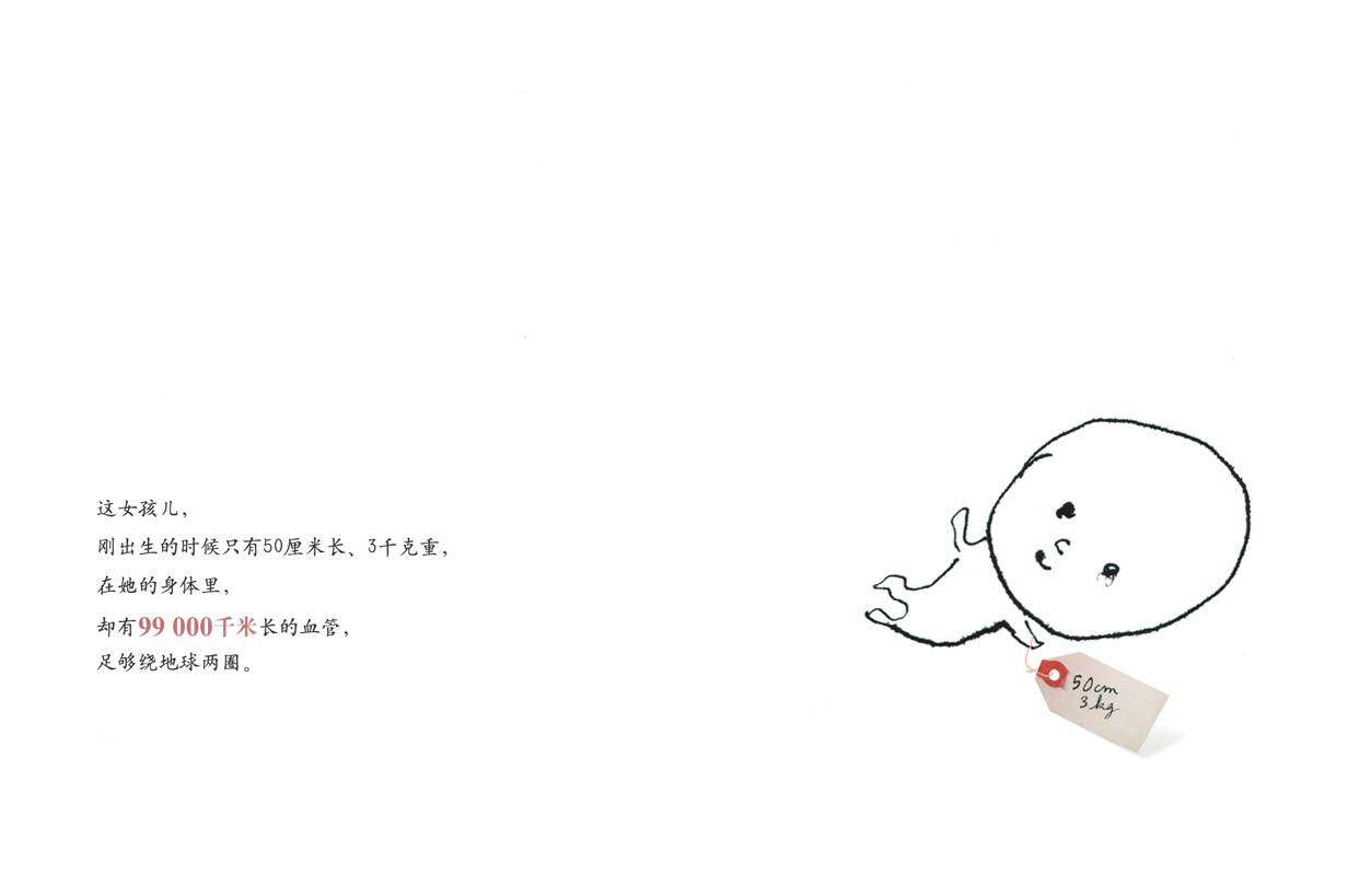 数数这一生绘本故事第3页