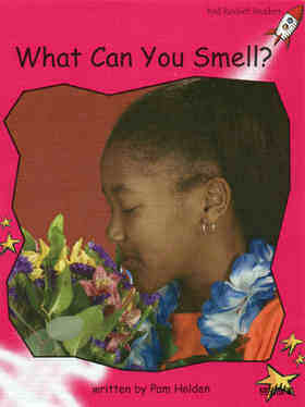 what can you smell？