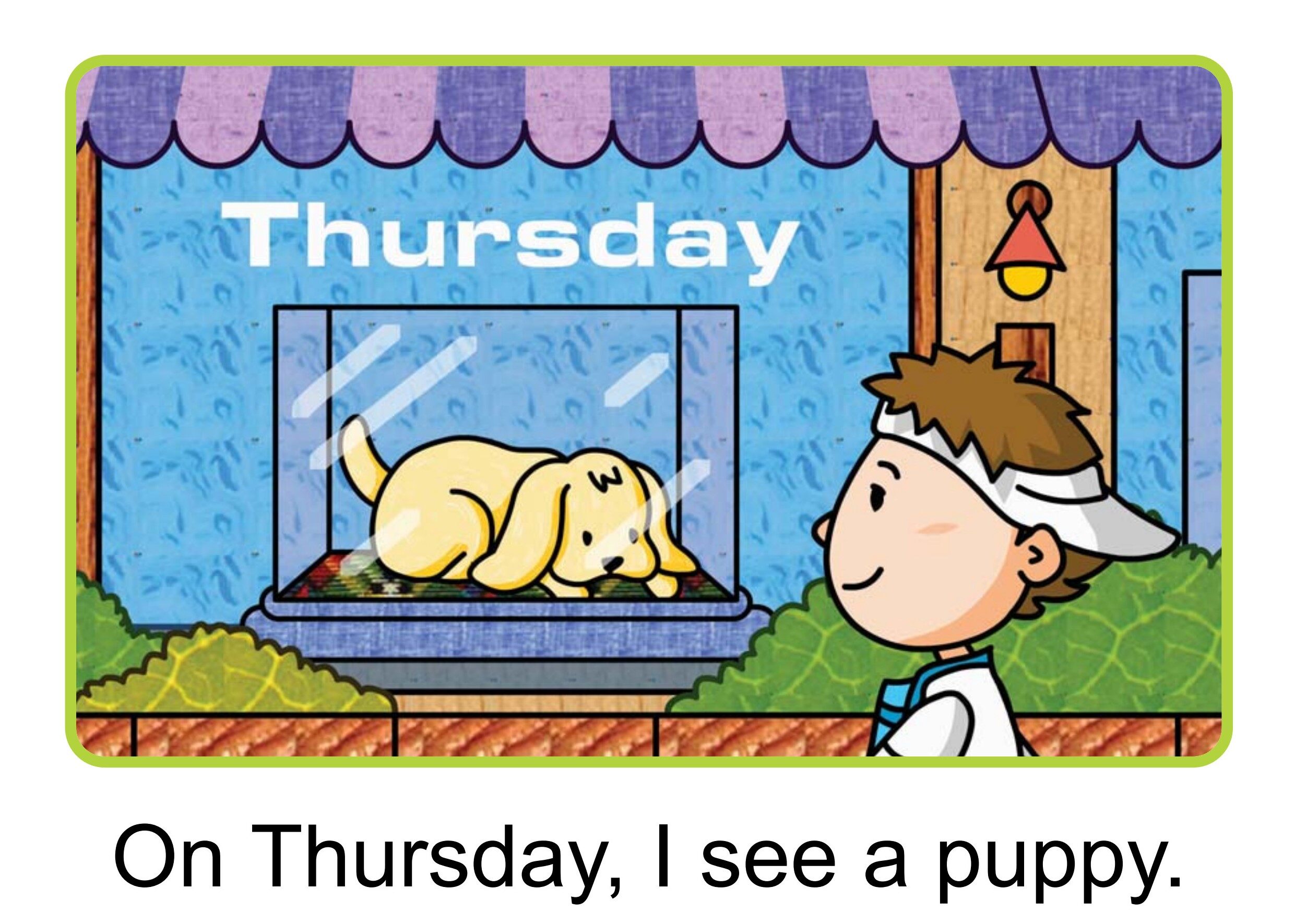 My Pet绘本故事第5页